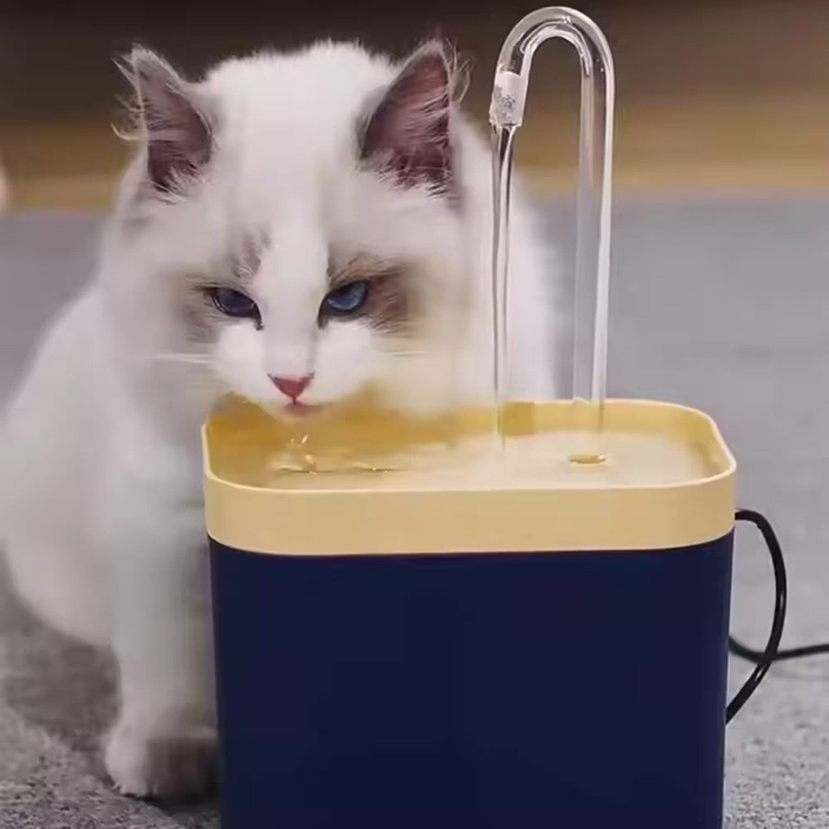 femmit pet fountain Αυτόματο Συντριβάνι Νερού Ποτίστρα Νερού για Γάτες με Φίλτρο καθαρισμού και Σύστημα Φιλτραρίσματος navy blue 1.5lt, 220v